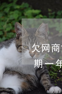 欠网商贷3万会坐牢吗(欠了网商贷3万多,逾期一年了,会坐牢吗)
