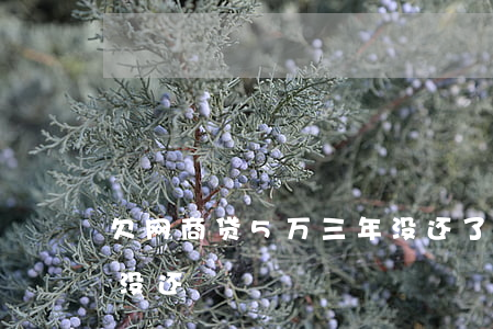 欠网商贷5万三年没还了会怎样(网商贷五年没还)