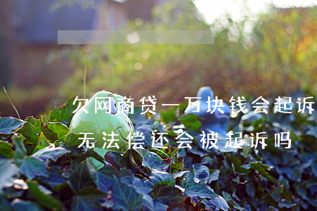 欠网商贷一万块钱会起诉吗(欠网商贷1万多无法偿还会被起诉吗)
