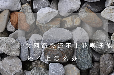 欠网商贷还不上花呗还能用吗(花呗和网商贷还不上怎么办)