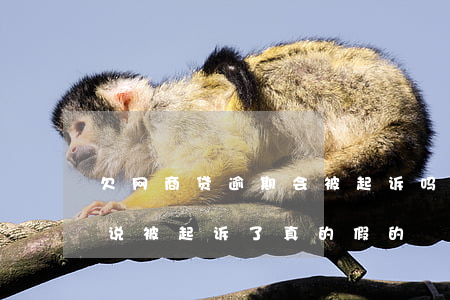 欠网商贷逾期会被起诉吗(网商贷逾期一年了说被起诉了真的假的)