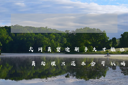 欠网商贷逾期多久才能协商还本金(欠网贷协商处理只还本金可以吗)