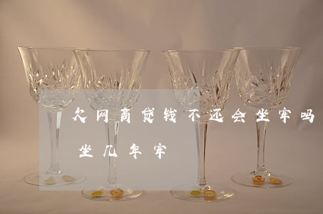 欠网商贷钱不还会坐牢吗(网商贷6万没还会坐几年牢)