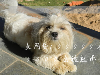 欠网贷100000会被起诉吗(网贷欠款15000会被起诉么)
