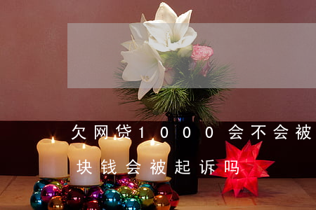 欠网贷1000会不会被告(欠网贷1000块钱会被起诉吗)