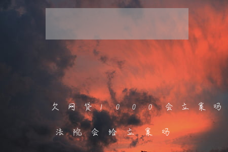 欠网贷1000会立案吗(网贷欠款2000法院会给立案吗)
