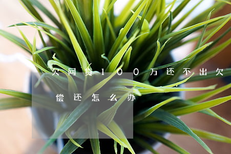 欠网贷100万还不出(欠网贷100万无力偿还怎么办)