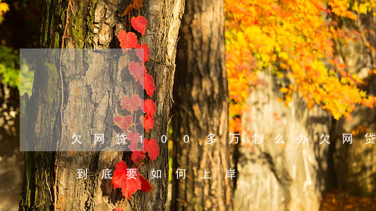 欠网贷100多万怎么办(欠网贷100万我到底要如何上岸)