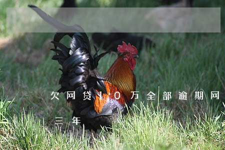 欠网贷10万全部逾期(网贷欠1000逾期三年)