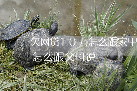 欠网贷10万怎么跟家里说(欠了10万网贷怎么跟父母说)