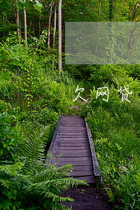 欠网贷10万还不起可以离婚吗-