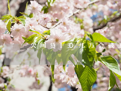 欠网贷10几万会被上门催债吗-