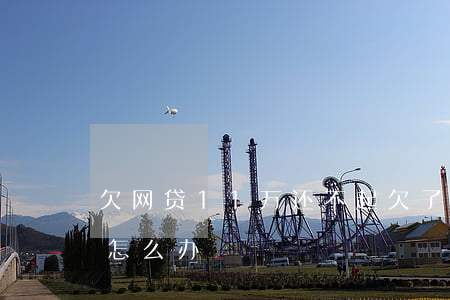 欠网贷11万还不起(欠了10万网贷还不起怎么办)
