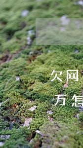 欠网贷12w怎么跟家里说(网贷欠了10几万怎么跟家人说啊)