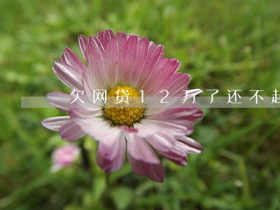 欠网贷12万了还不起了怎么办-