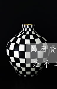 欠网贷12万还不上该怎么办(欠网贷12万还不上该怎么办)