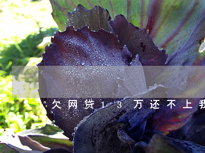 欠网贷13万还不上我该怎么办-