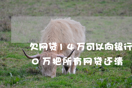 欠网贷14万可以向银行贷款吗-我想借20万把所有网贷还清