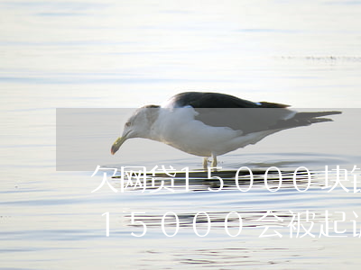 欠网贷15000块钱会被起诉吗(网贷欠款15000会被起诉么)