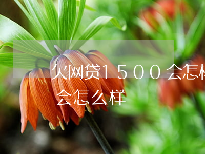 欠网贷1500 会怎样(欠网贷1500不还会怎么样)