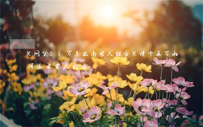 欠网贷15万怎么向家人坦白(欠债十五万如何跟家里人坦白)