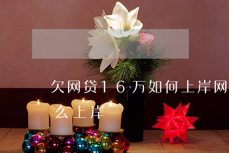 欠网贷16万如何上岸(网贷欠了10几万怎么上岸)