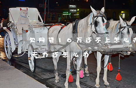 欠网贷16万还不上怎么办(网贷欠款16万无力还怎么办)