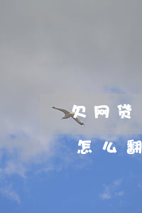 欠网贷16万还可以翻身吗(欠网贷30多万怎么翻身)
