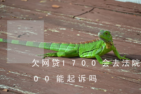 欠网贷1700会去法院告我吗(网贷欠2500能起诉吗)