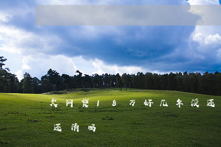 欠网贷18万好几年没还(欠网贷18万可以还清吗)
