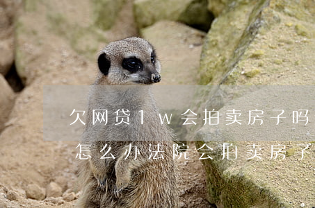 欠网贷1w会拍卖房子吗(欠了网贷无力偿还怎么办法院会拍卖房子吗)