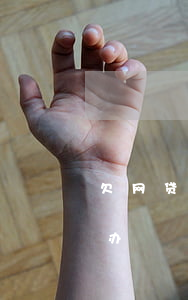 欠网贷1万利息太高怎么办(网贷欠一万怎么办)