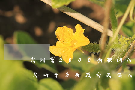 欠网贷2000会被纳入失信名单吗-网贷欠两千多会成为失信人员吗?