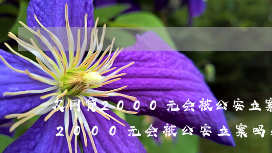 欠网贷2000元会被公安立案吗-欠网贷2000元会被公安立案吗知乎