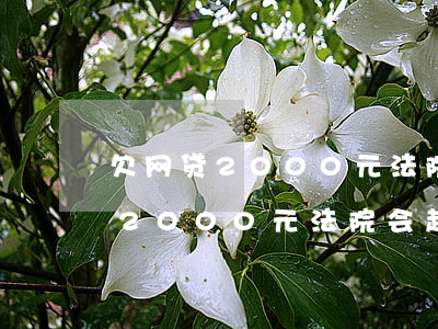 欠网贷2000元法院会起诉你呢-欠网贷2000元法院会起诉你呢是真的吗