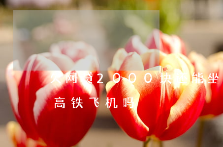 欠网贷2000块还能坐高铁吗(欠网贷能坐高铁飞机吗?)