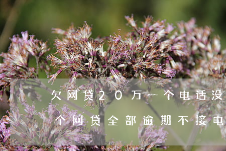 欠网贷20万一个电话没接会怎样-二十几个网贷全部逾期不接电话会上门吗