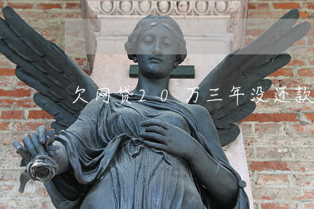 欠网贷20万三年没还款(网贷欠20万不还)