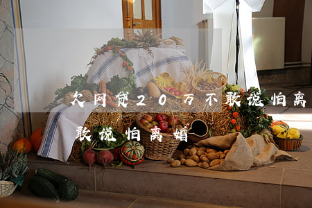 欠网贷20万不敢说怕离婚(欠网贷20万不敢说怕离婚)