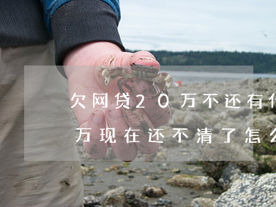 欠网贷20万不还有什么后果(欠网贷20多万,现在还不清了怎么办)