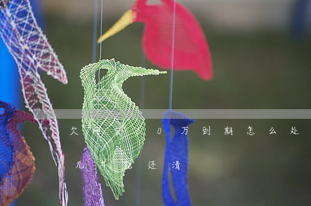 欠网贷20万到期怎么处理(欠20万的网贷几年能还清)