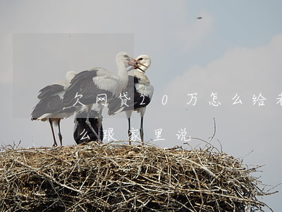欠网贷20万怎么给老公说(网贷欠20万怎么跟家里说)
