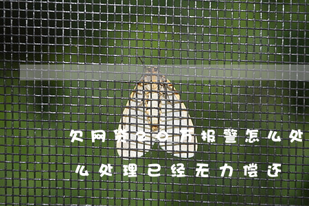 欠网贷20万报警怎么处理(网贷欠20万怎么处理,已经无力偿还)