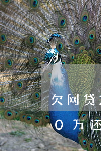 欠网贷20万无力偿还该坐牢多久(网贷欠20万还不上坐牢么)