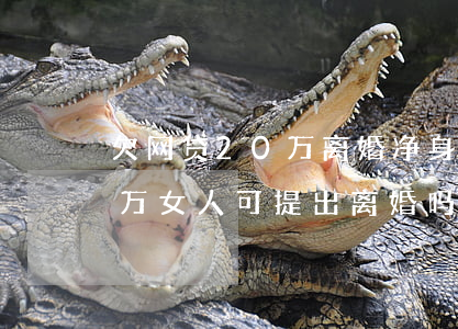 欠网贷20万离婚净身出(男人网贷欠20多万,女人可提出离婚吗)