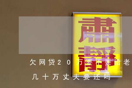 欠网贷20万要不要给老婆说(媳妇网贷欠下几十万,丈夫要还吗)