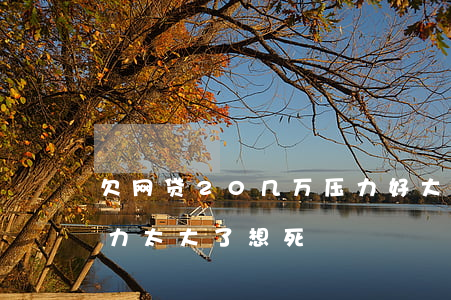 欠网贷20几万压力好大(欠了几万的网贷压力太大了,想死)