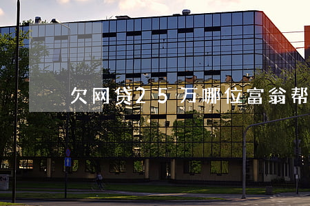 欠网贷25万哪位富翁帮我还上-
