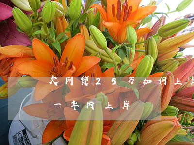 欠网贷25万如何上岸(欠网贷二十多万 怎么一年内上岸)