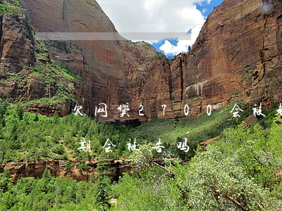 欠网贷2700会被起诉吗(网贷1800逾期会被告吗)